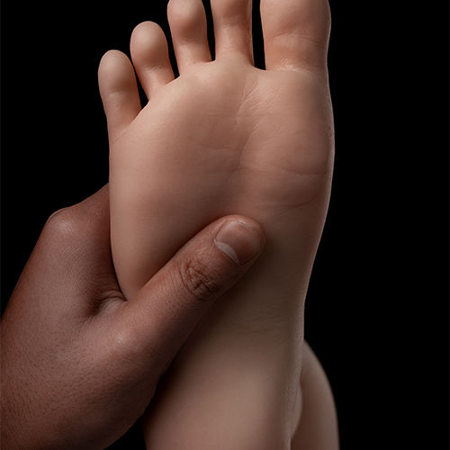 Debout Sans Boulons/Pied Dur (GRATUIT)
