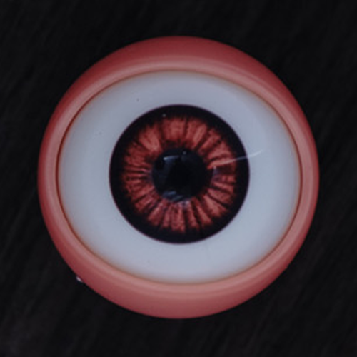 N°3