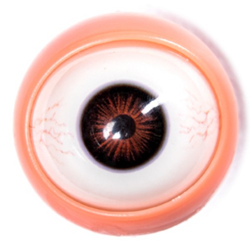 Yeux Bruns